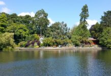 Things To Do In Swansea Wales Things to do in Swansea Wales