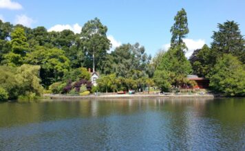 Things To Do In Swansea Wales Things to do in Swansea Wales