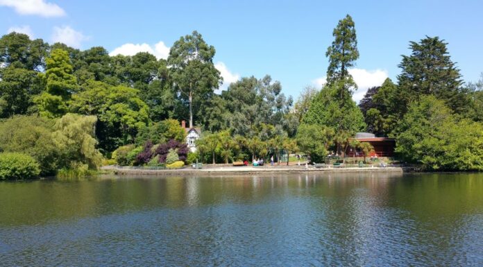 Things To Do In Swansea Wales Things to do in Swansea Wales